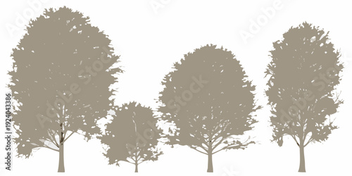 Silhouette of four trees in varying sizes against a white background