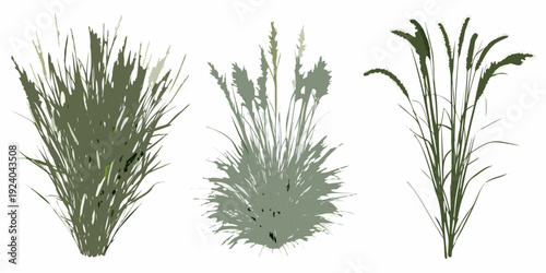 Three stylized clumps of grassy vegetation against a white background