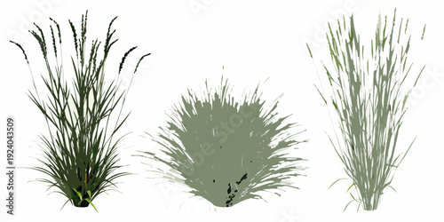 Three clumps of green grasses and foliage are digitally illustrated
