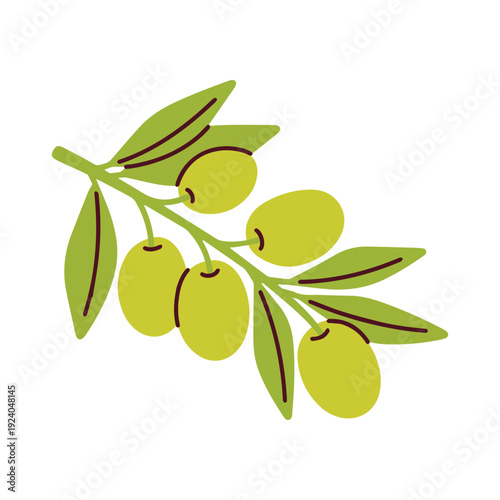 Fresh green olive branch with ripe fruits and leaves. Natural ingredient for Mediterranean cuisine, healthy lifestyle, and organic food design.
