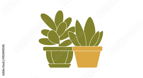 Stylized potted succulent plants illustration