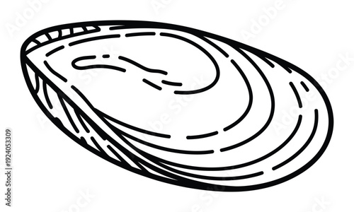 Simple Line of an Open Mussel Shell