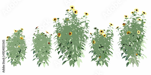 A row of stylized sunflowers in varying stages of growth