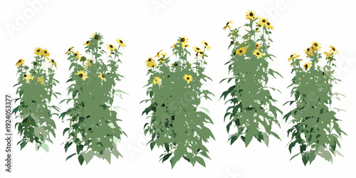 A vibrant illustration of several tall sunflower plants in bloom