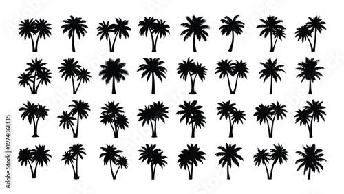 A group of palm tree silhouettes on a white background isolated on white background, Vector