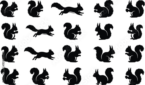Collection of black squirrel vector silhouettes in diverse poses, including sitting, standing, and running, perfect for wildlife design, nature artwork, and decorative projects.