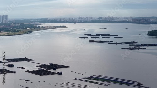 Drone panorama reveals Johor Straits mussel farm with radiant aquaculture grids