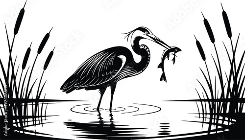 A black and white illustration of a Great Blue Heron standing in shallow water with ripples radiating outward.