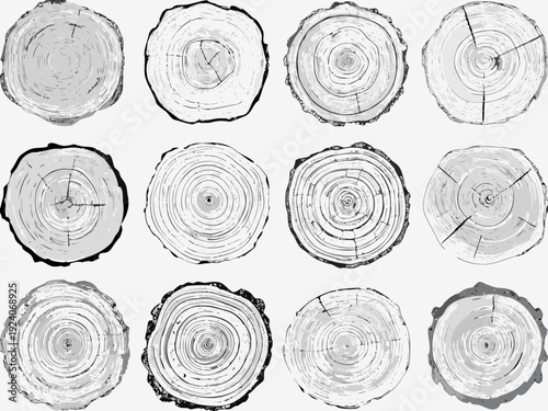 Arrangement of wood cross sections displaying tree rings and natural patterns