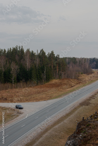 road in the forest