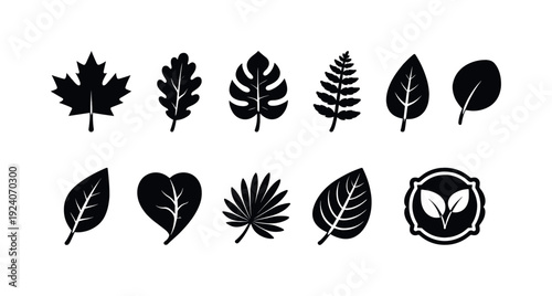 Nature, leaves flat icon set. Botanical, foliage, natural elements icons flat collection