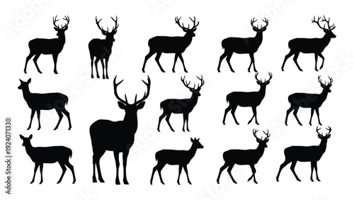 A group of deer silhouettes in various poses isolated on white background, Vector