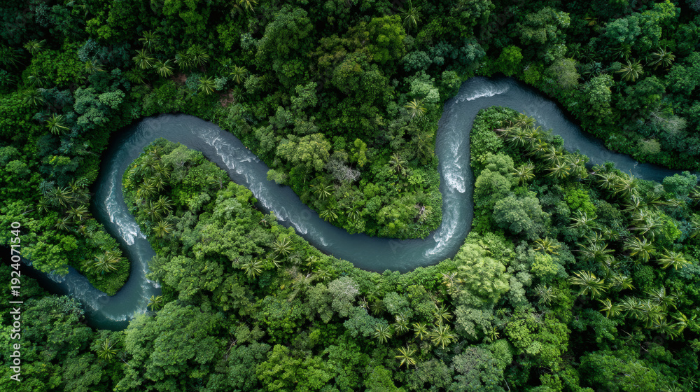 Obraz premium Aerial view of a winding river through dense tropical rainforest