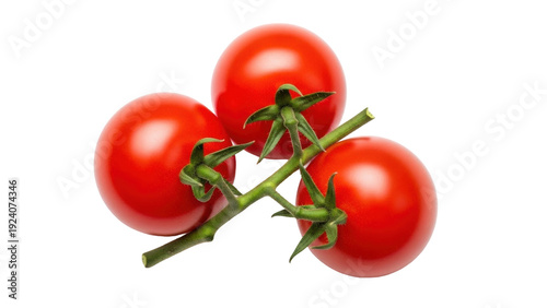 Tableau sur toile Isolated branch of red tomatoes on the vine, fresh ingredients, cooking, raw, fa