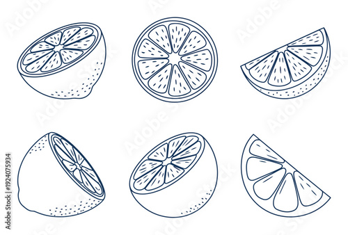 Hand-drawn citrus fruit slices: lemons, oranges, and limes in a simple line style