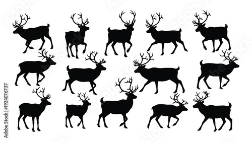 A group of deer silhouettes walking in different directions isolated on white background, Vector