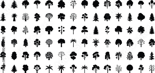 Set of ninety black tree silhouettes including pine palm oak and deciduous icons isolated on white background for nature vector designSet of ninety bla