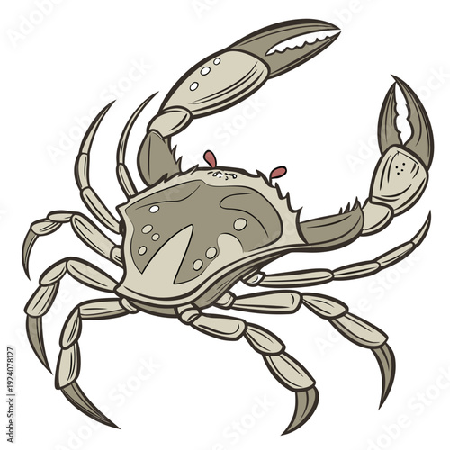 A cartoon crab with a beige shell and red eyes