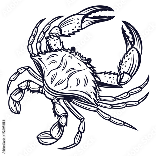 A drawing of a crab on a white background