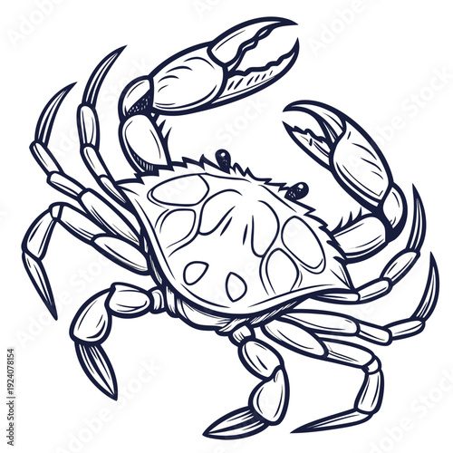 A blue line drawing of a crab on a white background