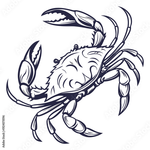A drawing of a crab on a white background
