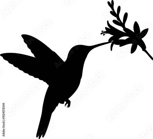 A black silhouette of a hummingbird feeding on a flower with intricate details.