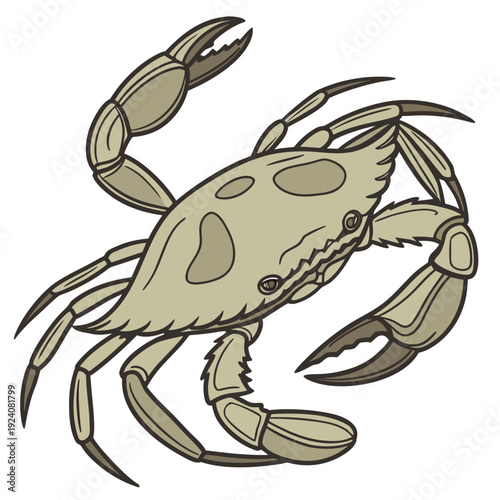 A cartoon drawing of a crab on a white background