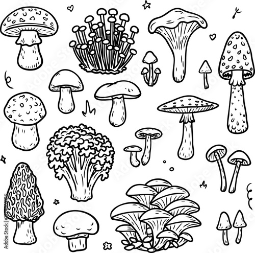 Mushroom doodle set with forest fungi, toadstools, and wild mushrooms in black and white outline style, perfect for botanical posters, autumn themed designs