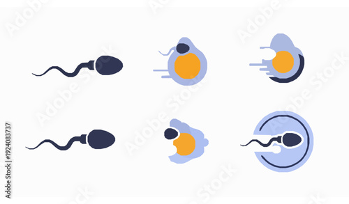 Fertility Treatment Concept Vector – Sperm Racing Toward Egg Flat Icon Set