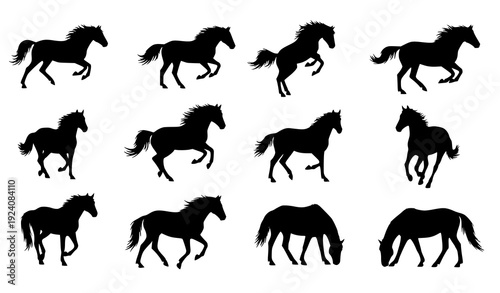 Horse Silhouette Vector Collection – Running and Standing Black Icons Isolated on White