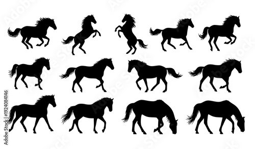 Horse Silhouette Vector Collection – Running and Standing Black Icons Isolated on White