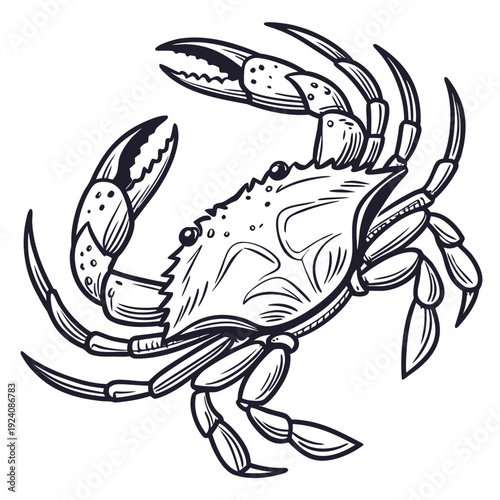 A black and white drawing of a crab