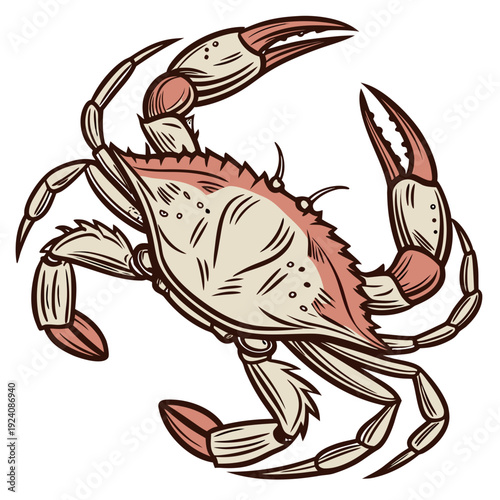 A crab with orange and beige shell and legs