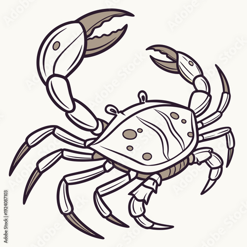 A brown and white line drawing of a crab