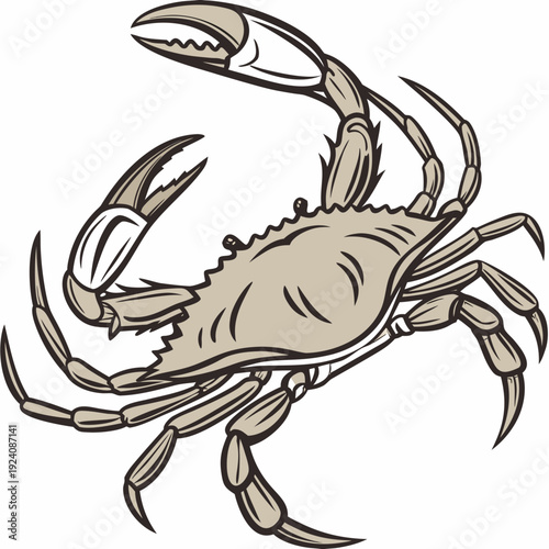 A cartoon drawing of a crab on a white background