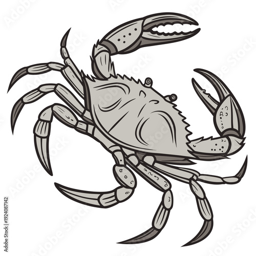 A drawing of a crab on a white background