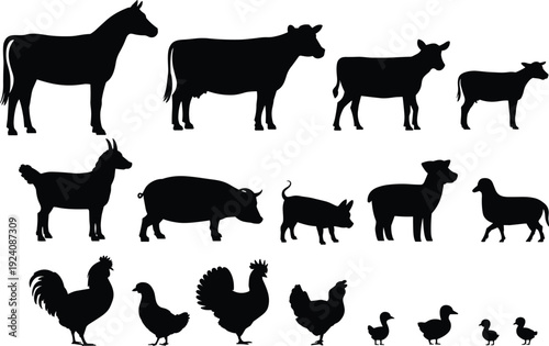Farm animal silhouette set, livestock and poultry collection isolated black vector illustration for agriculture and rural design