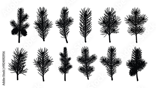 A collection of twelve different tree silhouettes isolated on white background, Vector
