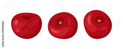 Flat design illustration of three loose red cherries seen from various angles. Excellent for food menus, grocery branding, and kitchen icons. Vector illustration