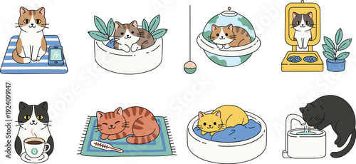 Cute Cat Daily Life Vector Set with Sleeping, Eating and Playing Kittens Isolated Cartoon Pet Collection
