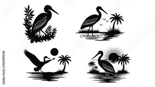 Four black silhouettes of pelicans and tropical plants isolated on white background, Vector