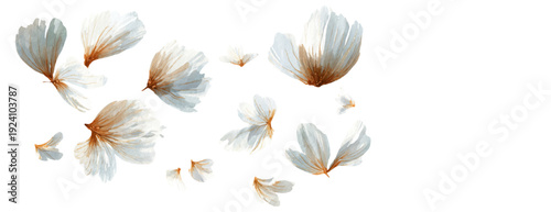 Delicate white watercolor petals floating on a clean bright background, creating a soft ethereal atmosphere, ideal for serene and elegant design projects