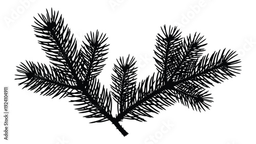 A black silhouette of a pine tree branch isolated on white background, Vector