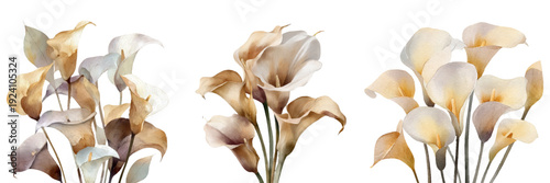 Watercolor calla lily flowers arranged as botanical bouquets, showing elegant delicate floral illustrations in a trending pastel color palette with warm neutral tones