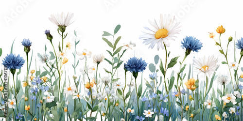 Watercolor border with blooming summer wildflowers, including daisies, cornflowers, and meadow plants, creating a spring and nature themed illustration
