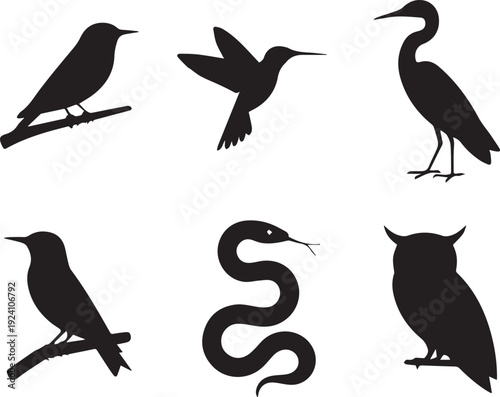 Silhouettes of various animals including birds and a snake on white background