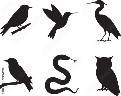 Black silhouettes of various birds and a snake on white background bird
