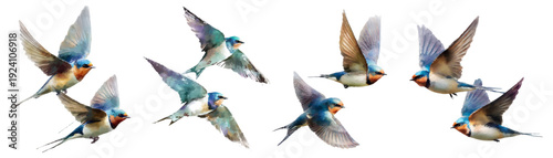 Barn swallows are depicted in various dynamic flying poses, representing concepts of freedom, migration, and the beauty of avian wildlife through a vibrant watercolor illustration