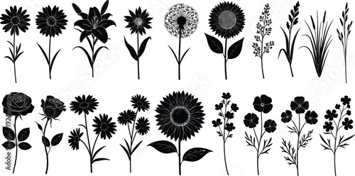 Black flower silhouette collection, botanical floral vector set with sunflower rose wildflower isolated on white background for design