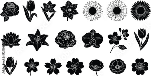 Black floral silhouettes set, rose tulip lily sunflower orchid botanical vector illustration isolated on white background decorative design